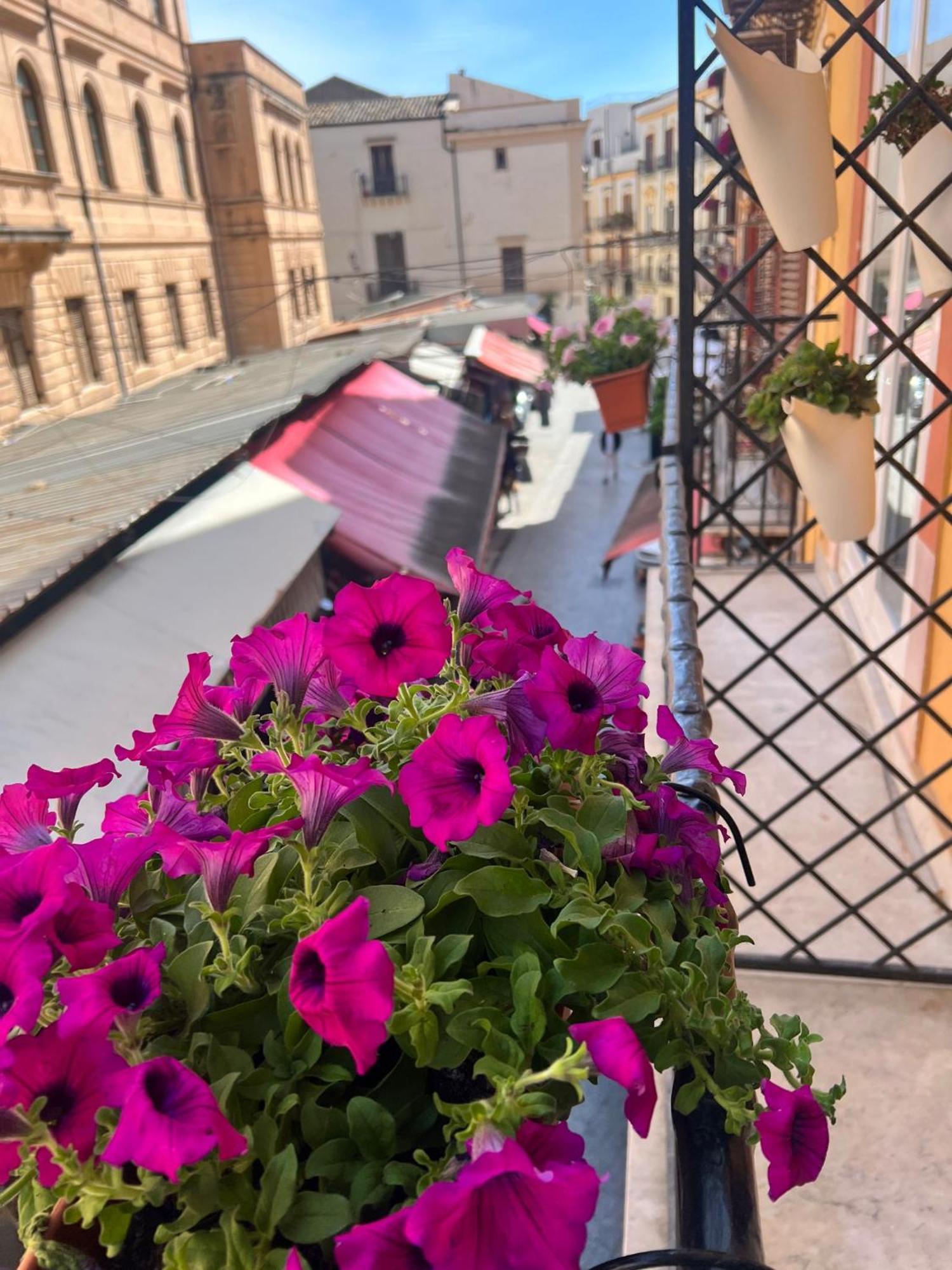 Sant'Agostino Boutique Rooms Παλέρμο Εξωτερικό φωτογραφία